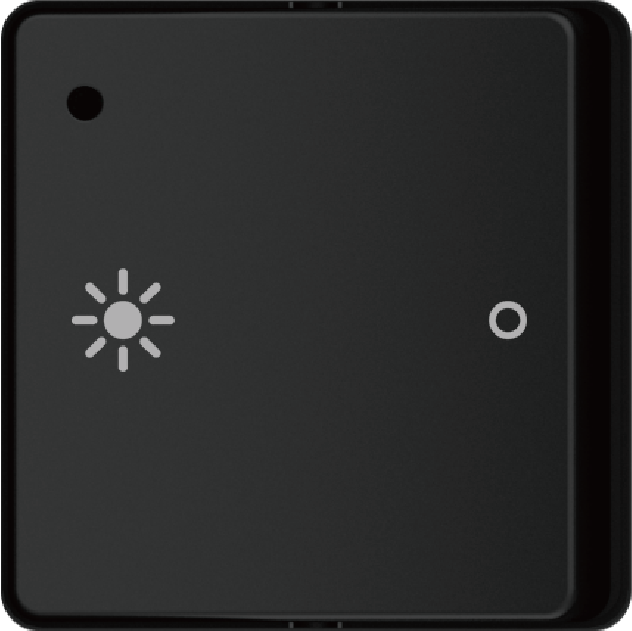 Switch